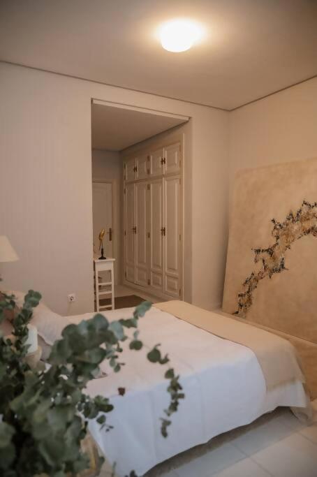 Casa Aguila Casco Antiguo Patio Privado Apartment Cáceres Exterior photo